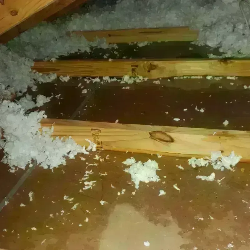 Attic Water Damage in Saint David, AZ