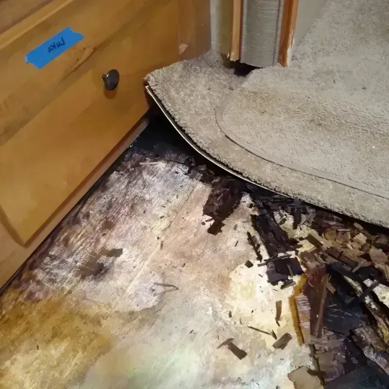 Wood Floor Water Damage in Saint David, AZ